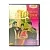 Дороги Индии 121-160 серии (DVD) УЦЕНКА