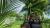Far Cry 3 Limited Edition (PS3, витринный образец) Far Cry 3 Limited Edition (PS3, витринный образец)