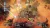 Helldivers Super-Earth Ultimate Edition (PS4/PS5, рус.) Helldivers Super-Earth Ultimate Edition (PS4/PS5, рус.)