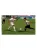 FIFA Football 2005 (PS2, б/у)