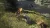 Dragons Dogma II (2) (PS5, рус., витринный образец)