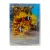Aquarium impressions. Красоты аквариума Vol.5 (DVD)