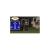 Hard Rock Casino (PSP, б/у) Hard Rock Casino (PSP, б/у)