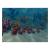 Finding Nemo (GameCube, б/у)