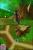 Over the Hedge (DS, б/у) Over the Hedge (DS, б/у)