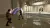 Kinect Star Wars (Xbox 360, рус., витринный образец)