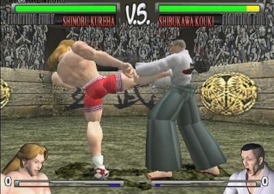 Fighting Fury (PS2, б/у, незнач.царап., устанавливается на 100%)