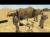 Conflict Desert Storm (Xbox/Xbox 360, б/у)