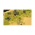 Majesty 2 (PC, Jewel, рус.)