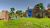 Life in Willowdale Farm Adventures (PS5) Life in Willowdale Farm Adventures (PS5)
