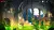 Wonder Boy The Dragons Trap (PS5)