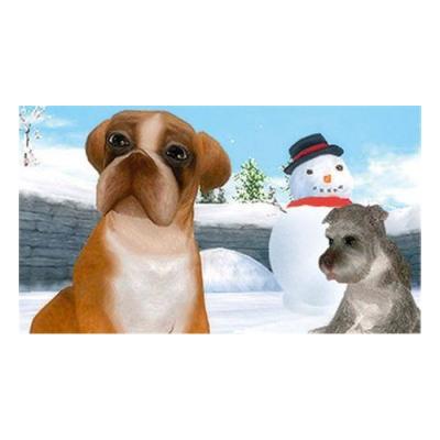 Petz - My Puppy Family (PSP, б/у, рус., без бокса)