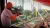 Hitman World of Assassination Signature Edition (Nintendo Switch 2, рус.)