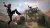 Rage 2 (Xbox One/Series, рус., витринный образец)