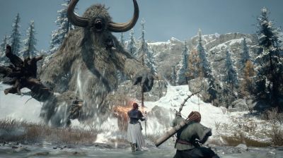 Dragons Dogma II (2) Dark Arisen (Nintendo Switch 2, рус.)