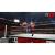WWE 13 (Xbox 360, б/у)