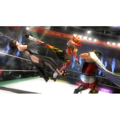 Dead or Alive 5 (PS3, витринный образец)