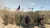 Mount & Blade 2 Bannerlord (PS5, рус., витринный образец)