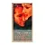 Осень в Нью-Йорке (VHS)