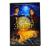 Город Эмбер (DVD)